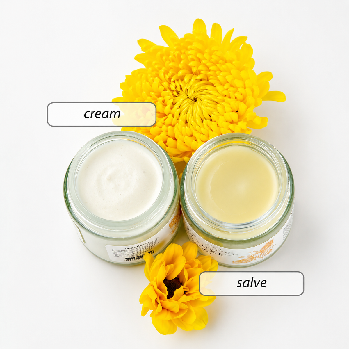 Organic Wild Yam Salve with Chaste Berry Handmade for Women - Natural Wild Yam Cream - Organic Skincare for Females Creamy Buttery Salve